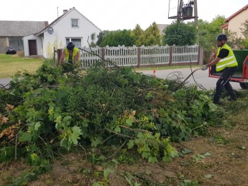 Zabiegi pielęgnacyjne pomników przyrody ZPK, 